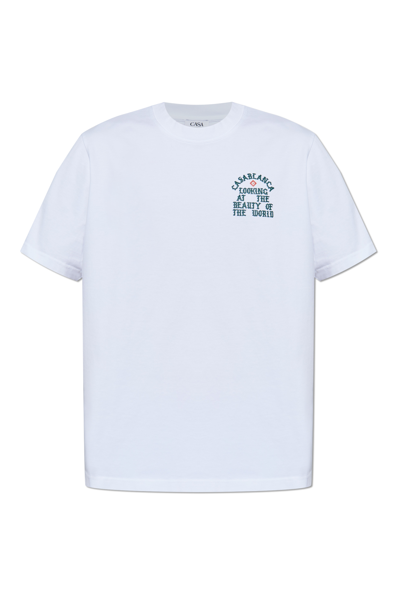 LOOKING AT THE BEAUTY OF THE WORLD T-SHIRT